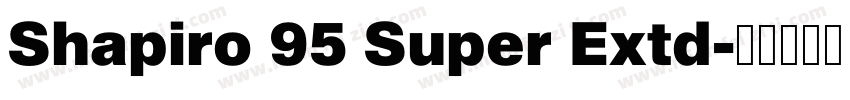 Shapiro 95 Super Extd字体转换